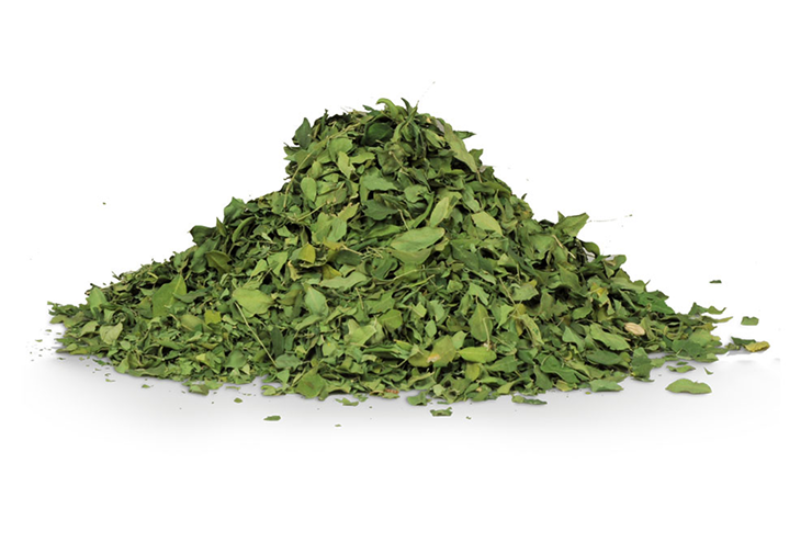 Dried Moringa Leaves